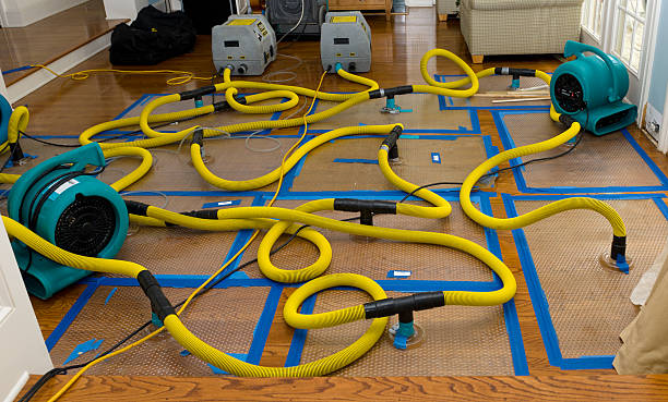 Professional Sewage Cleanup technician working in Manhattan, IL
